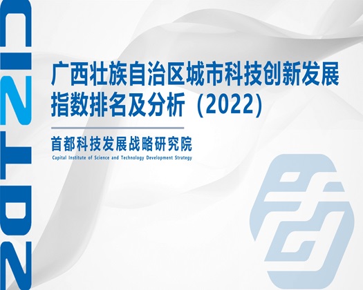 欧美淫骚湿了穴视频【成果发布】广西壮族自治区城市科技创新发展指数排名及分析（2022）